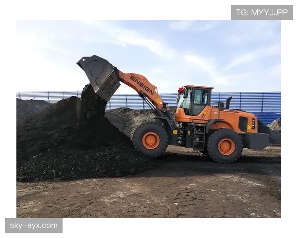 埃斯帕尼奥尔状态回暖，复兴之路展现强劲潜力