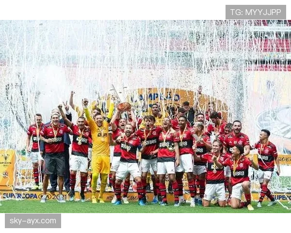 巴西足球甲级联赛历史数据与历年冠军盘点